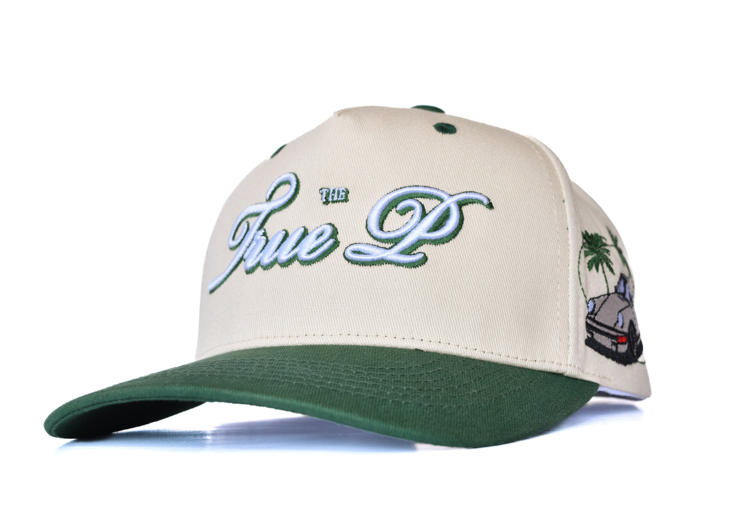 Lead the Scene Snapback