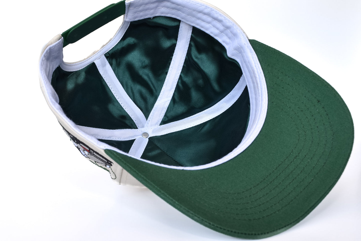 Lead the Scene Snapback